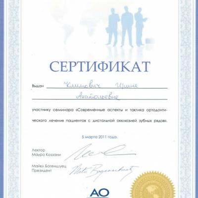 Klimovich Diplom 16