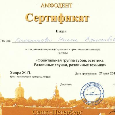 Kalashnikova Diplom 00010
